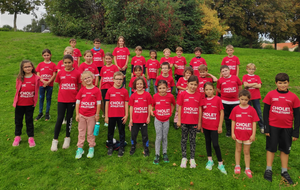 POUSSINS Cholet